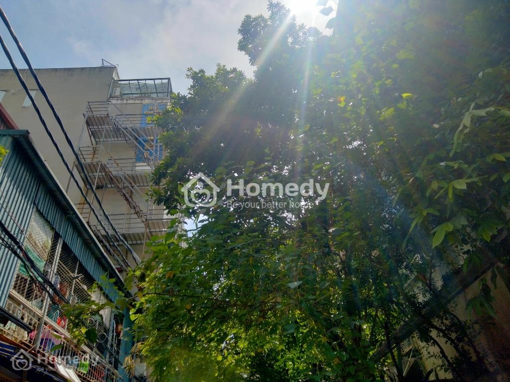4135076 ảnh đại diện 2