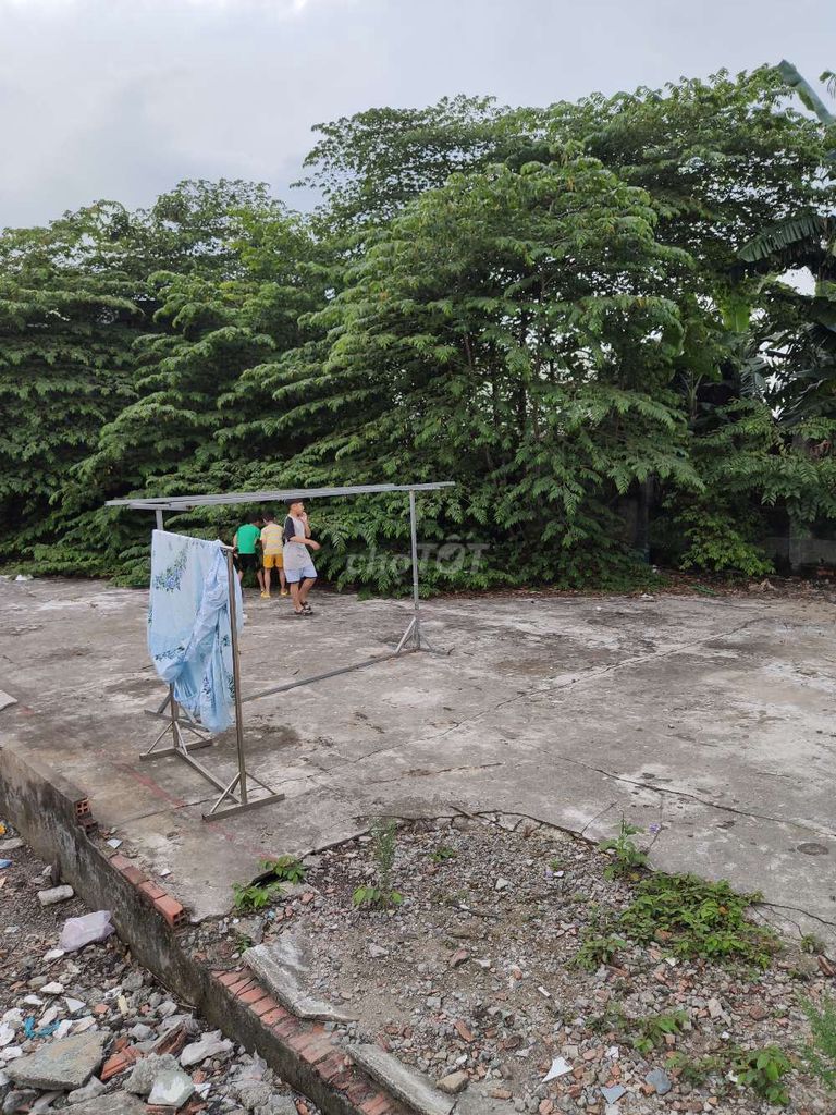 4134149 ảnh đại diện 1