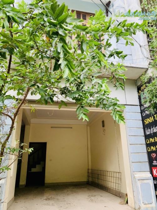 4133893 ảnh đại diện 2