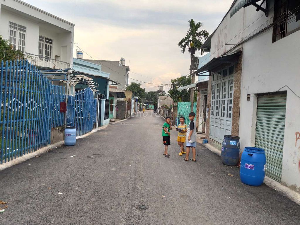 4134149 ảnh đại diện 1