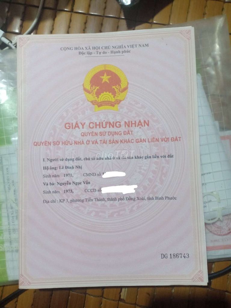4133708 ảnh đại diện 1