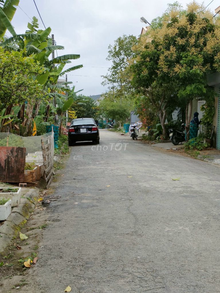 4137034 ảnh đại diện 1