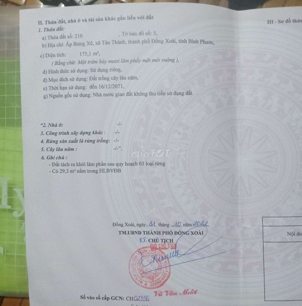 4133708 ảnh đại diện 1