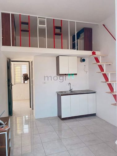 4133587 ảnh đại diện 2