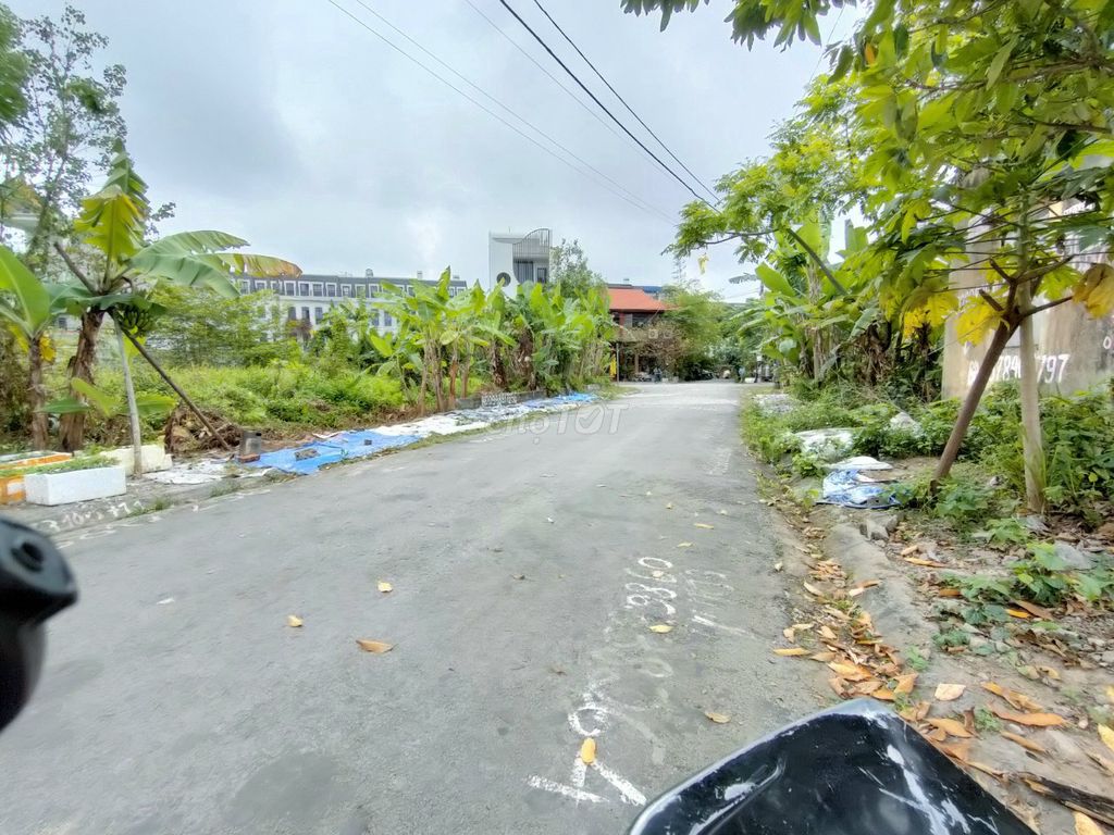 4137034 ảnh đại diện 2