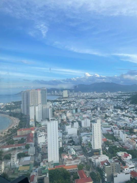 4134131 ảnh đại diện 1