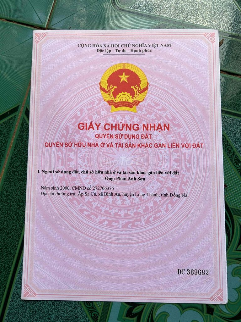 4134890 ảnh đại diện 1