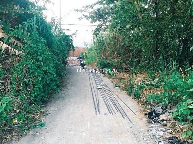 4133769 ảnh đại diện 1
