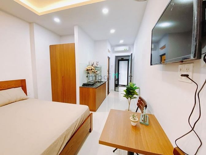 4134691 ảnh đại diện 2