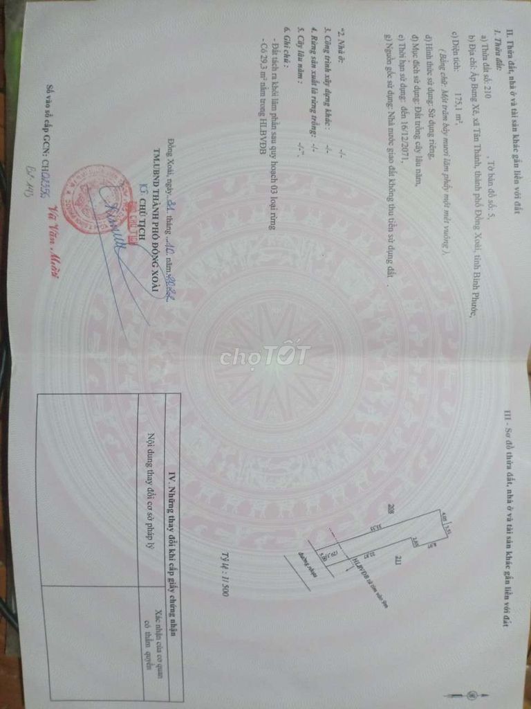 4133708 ảnh đại diện 2