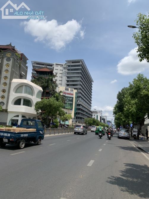 4137419 ảnh đại diện 1