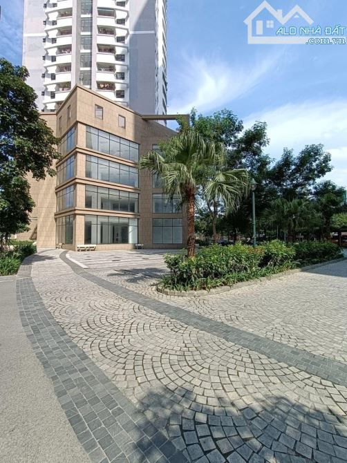 4137496 ảnh đại diện 1