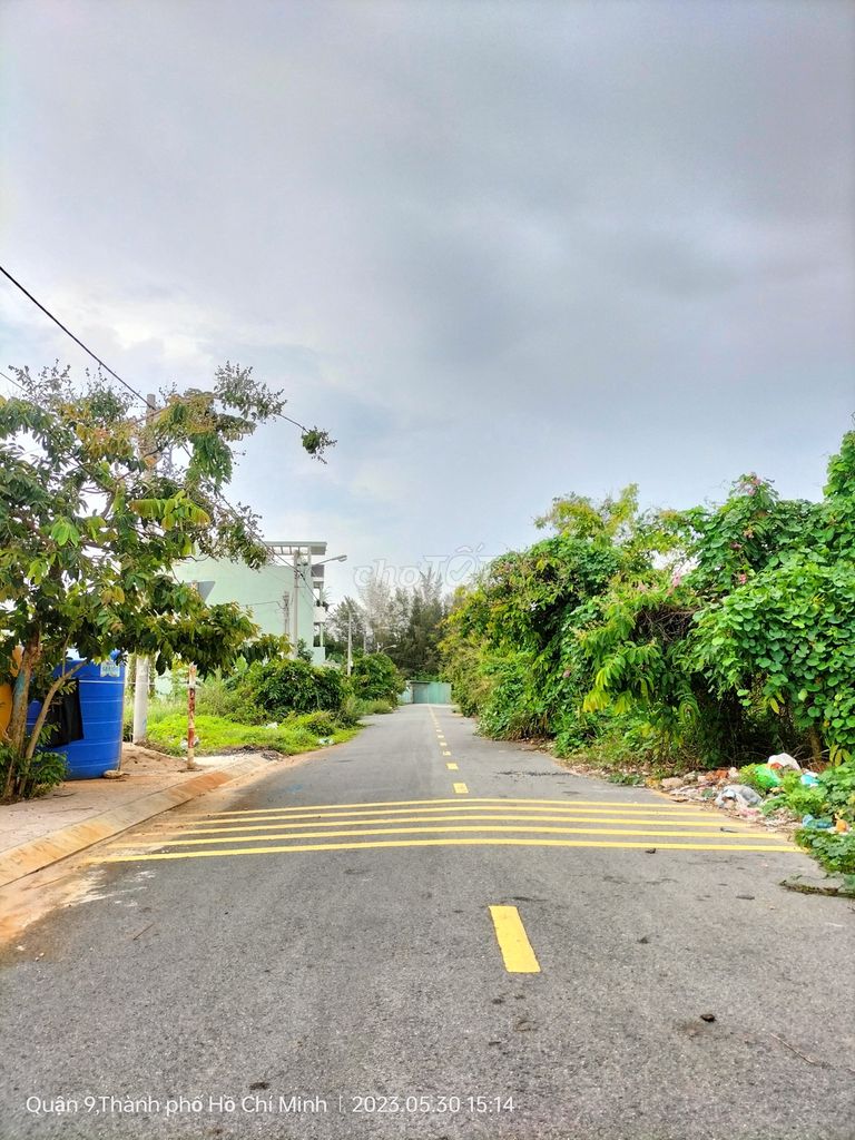4138780 ảnh đại diện 1