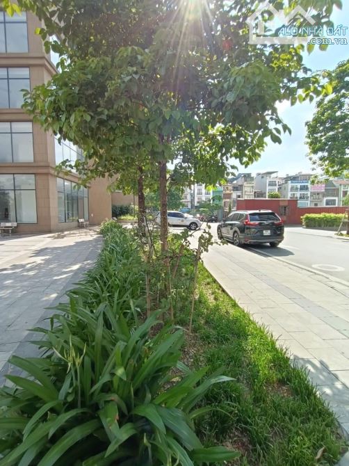 4137496 ảnh đại diện 1