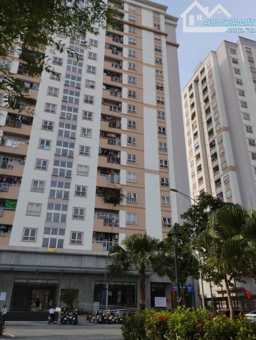 4137503 ảnh đại diện 1