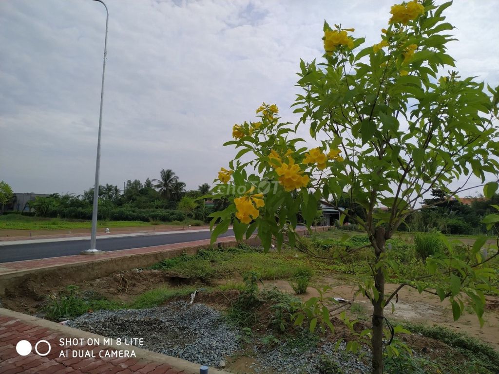 4138090 ảnh đại diện 1
