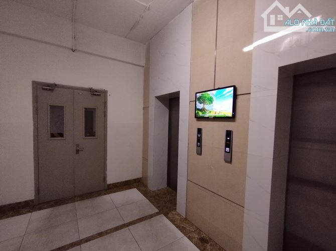 4137503 ảnh đại diện 1