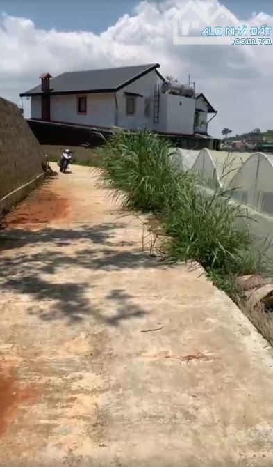 4139650 ảnh đại diện 1