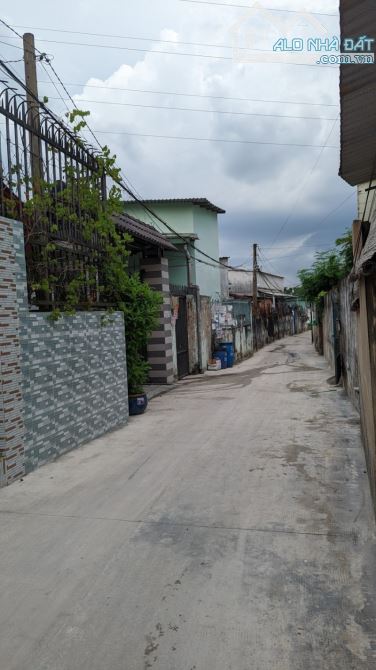 4139871 ảnh đại diện 1