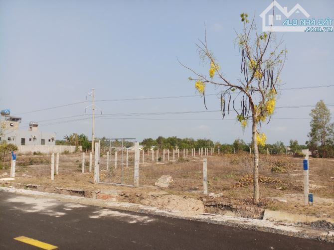 4139644 ảnh đại diện 1