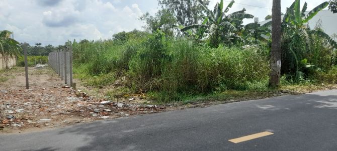 4140624 ảnh đại diện 1