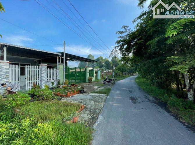 4139753 ảnh đại diện 2