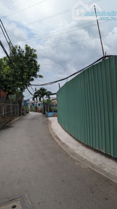 4139871 ảnh đại diện 1