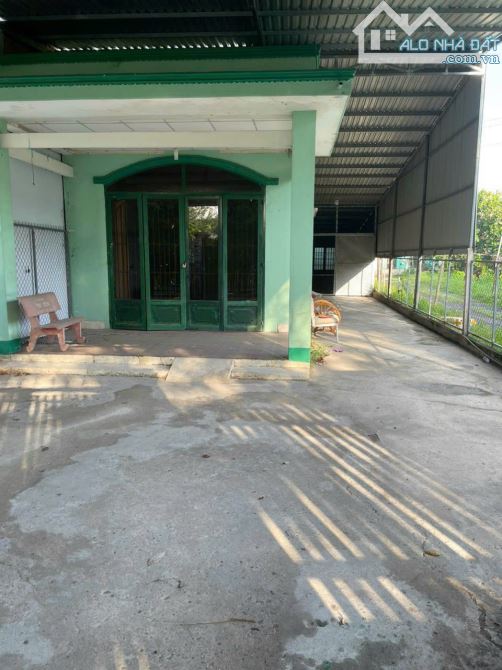 4139753 ảnh đại diện 1