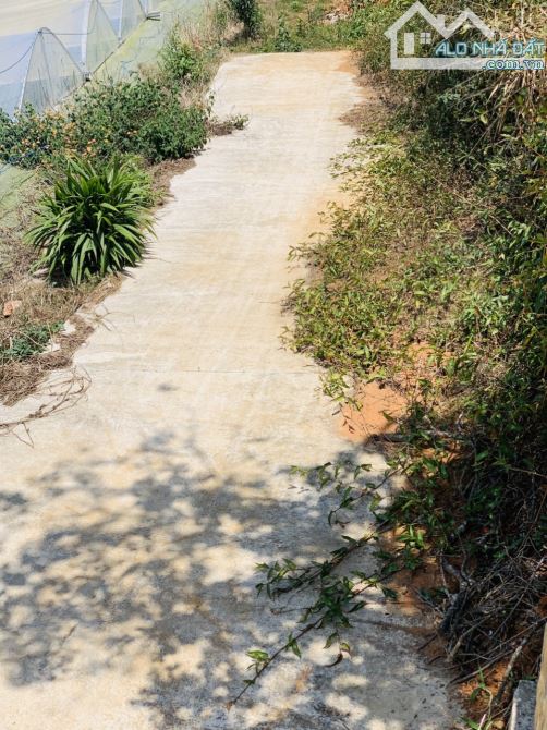 4139650 ảnh đại diện 2