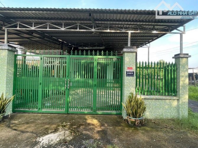 4139753 ảnh đại diện 1