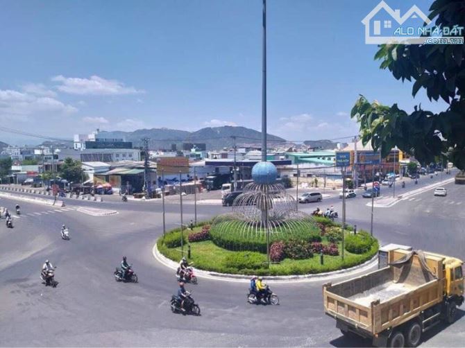 4142659 ảnh đại diện 1