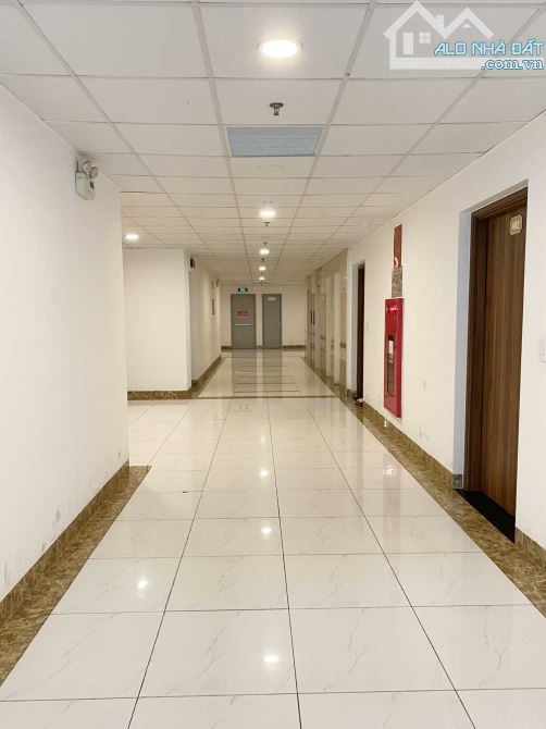 4142874 ảnh đại diện 1