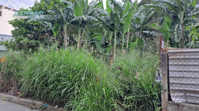 4143356 ảnh đại diện 1