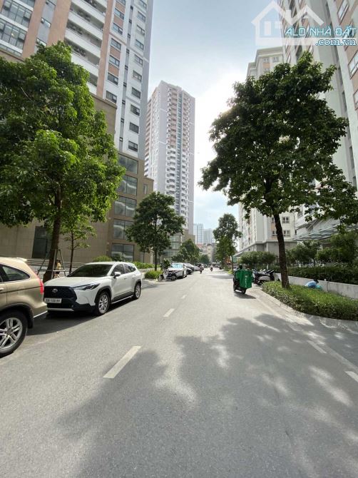 4142874 ảnh đại diện 2