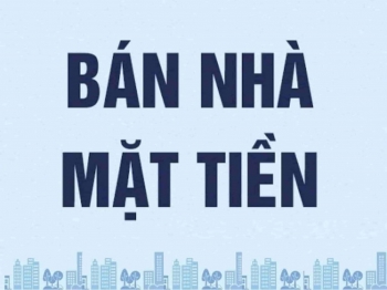 4145556 ảnh đại diện 1
