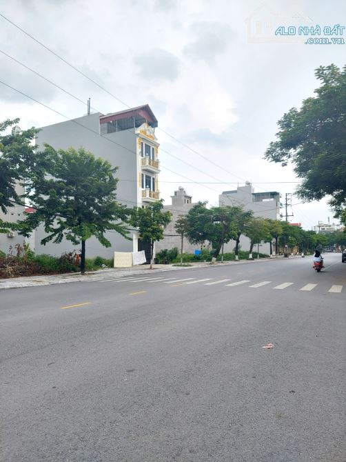 4143859 ảnh đại diện 1