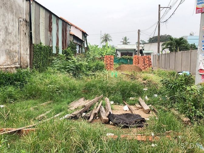 4146215 ảnh đại diện 1