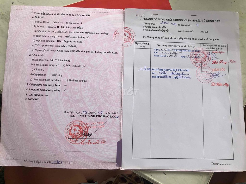 4146563 ảnh đại diện 2