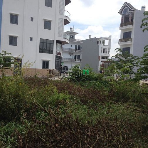 4146215 ảnh đại diện 1
