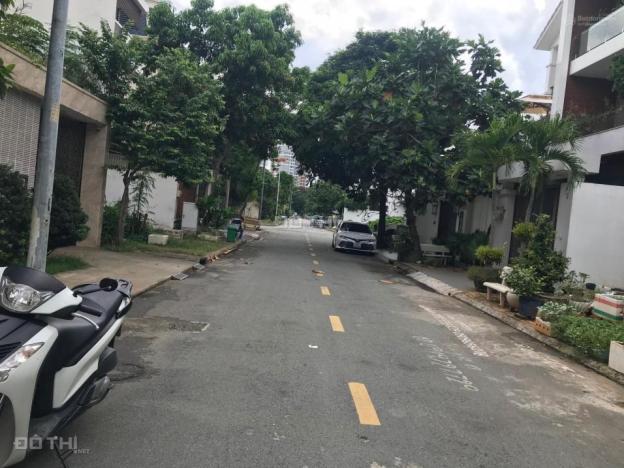 4146651 ảnh đại diện 1