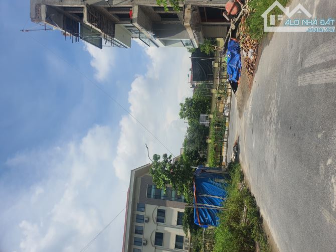 4143859 ảnh đại diện 2