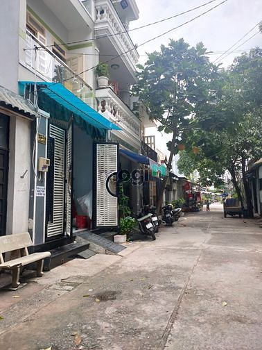 4146211 ảnh đại diện 1