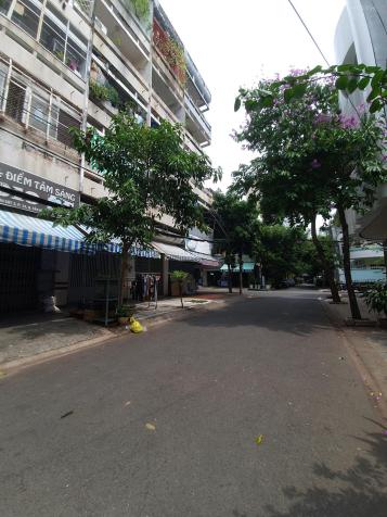 4146249 ảnh đại diện 1