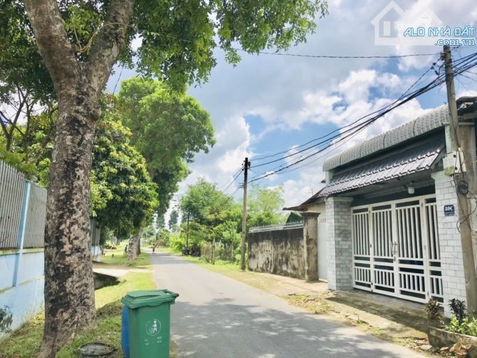 4144616 ảnh đại diện 1