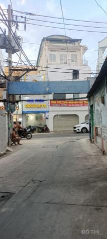 4145549 ảnh đại diện 1