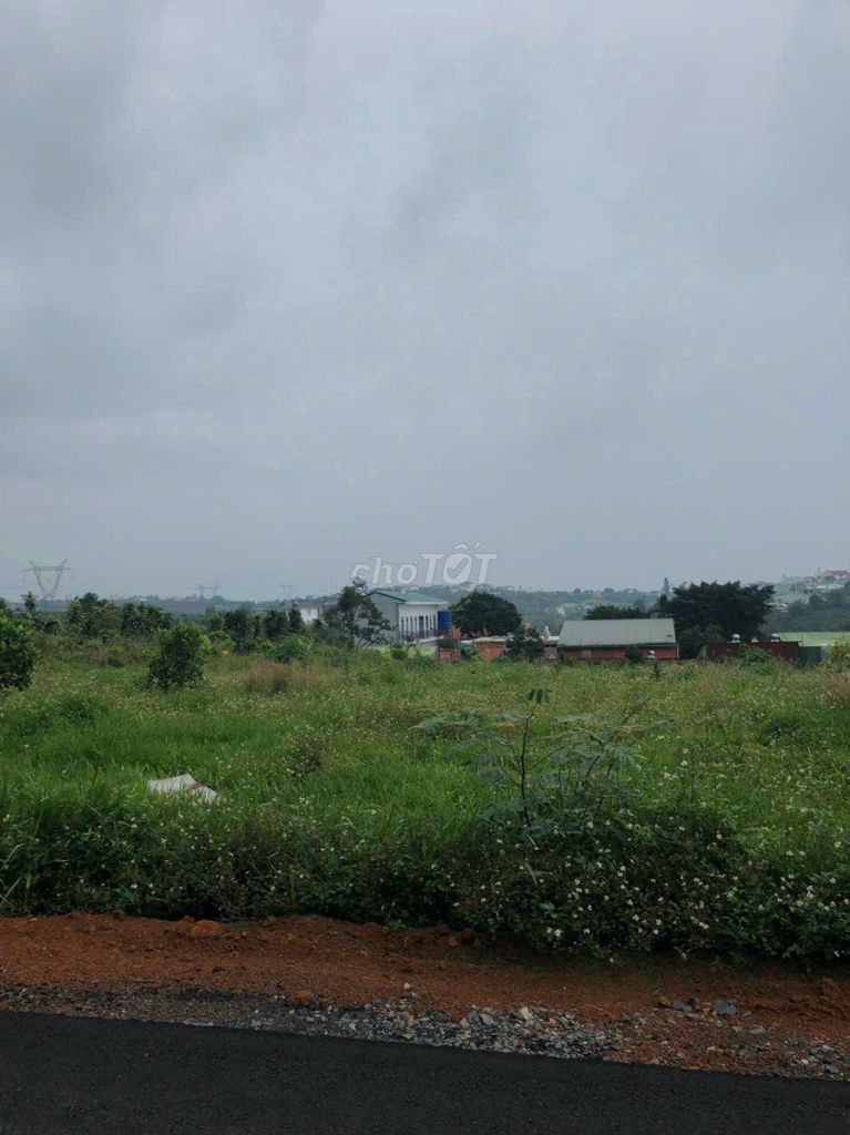 4146545 ảnh đại diện 1