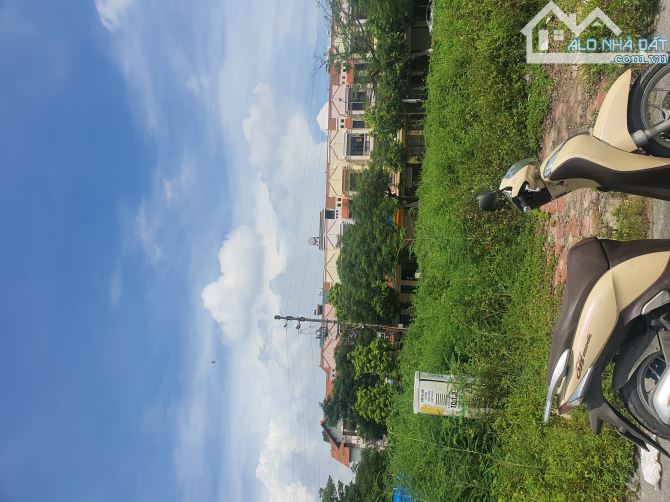 4143859 ảnh đại diện 1