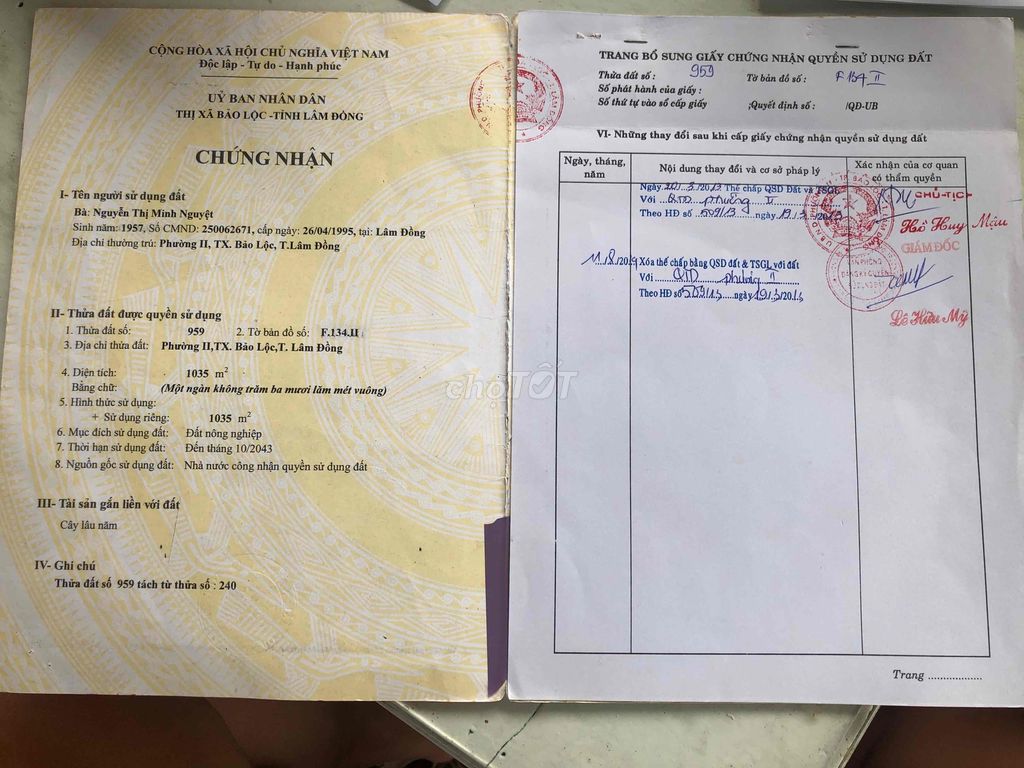 4146563 ảnh đại diện 1