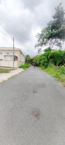4145792 ảnh đại diện 1