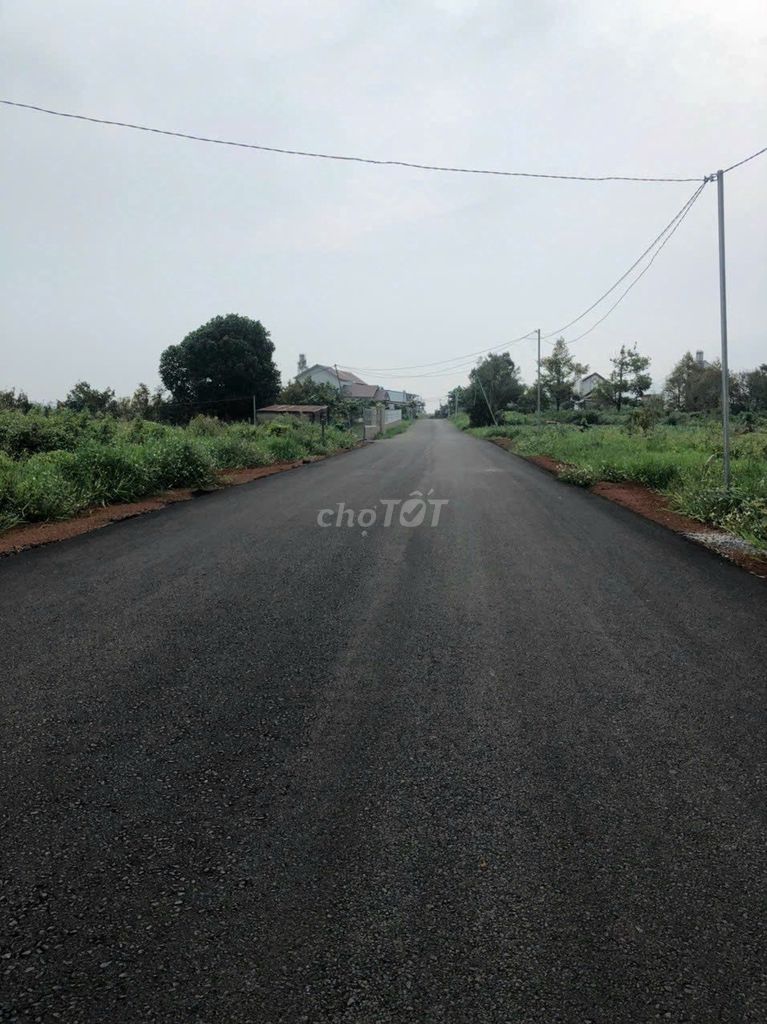 4146545 ảnh đại diện 1